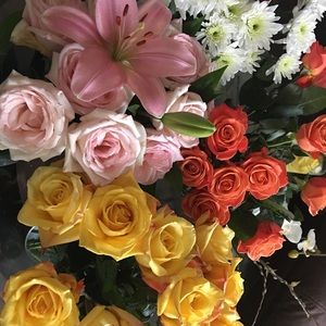 Meet your Posher, Leah